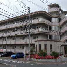 RiyohirotaMansion.JPG